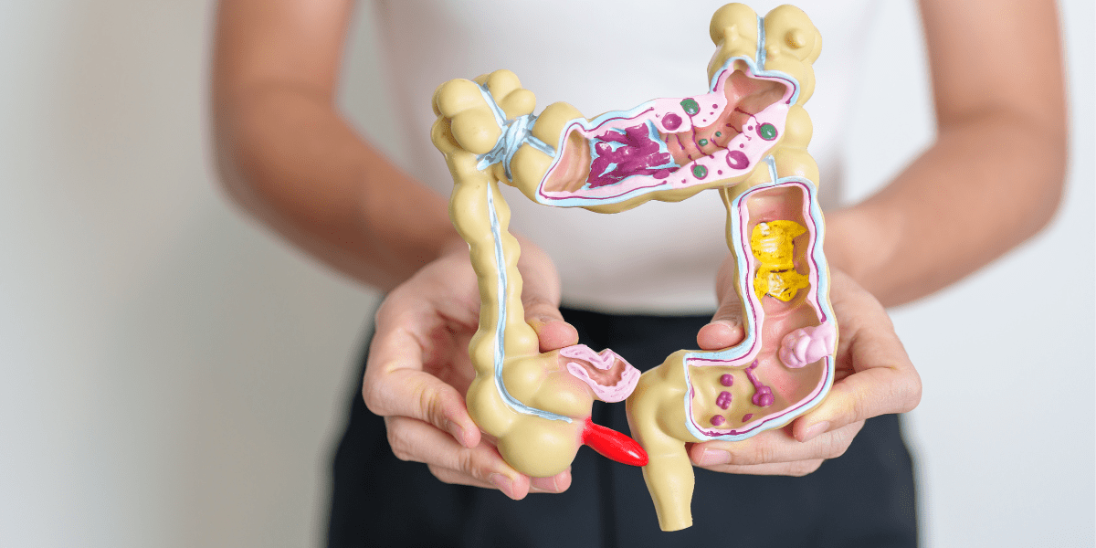 Esto es azúcar - La importancia de la microbiota intestin...