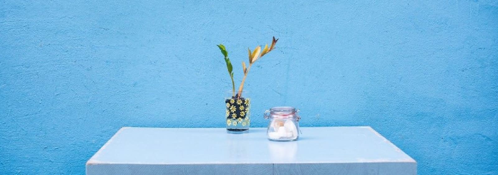 Esto es azúcar - ¡No sufras más! Conoce estos 5 usos inge...