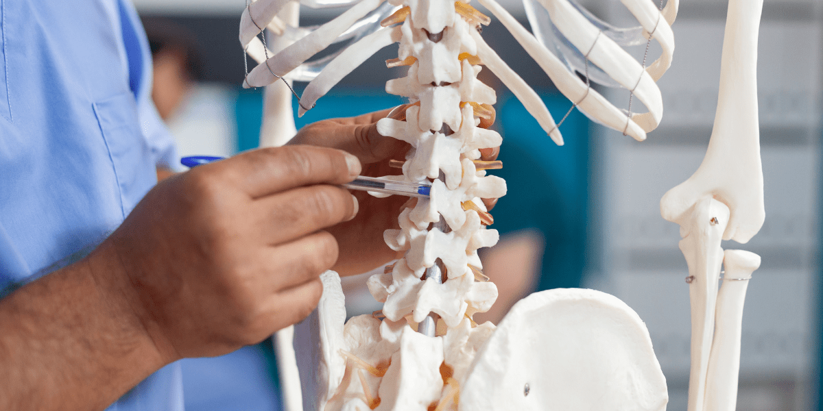 Esto es azúcar - Cómo Reducir el Riesgo de Osteoporosis: ...