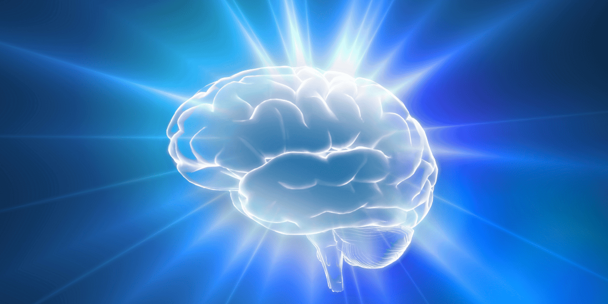 Esto es azúcar - ¿Qué dice la ciencia sobre el azúcar y tu cerebro?